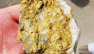 Guinea 5000 t/d Gold Mine Ore Dressing Project