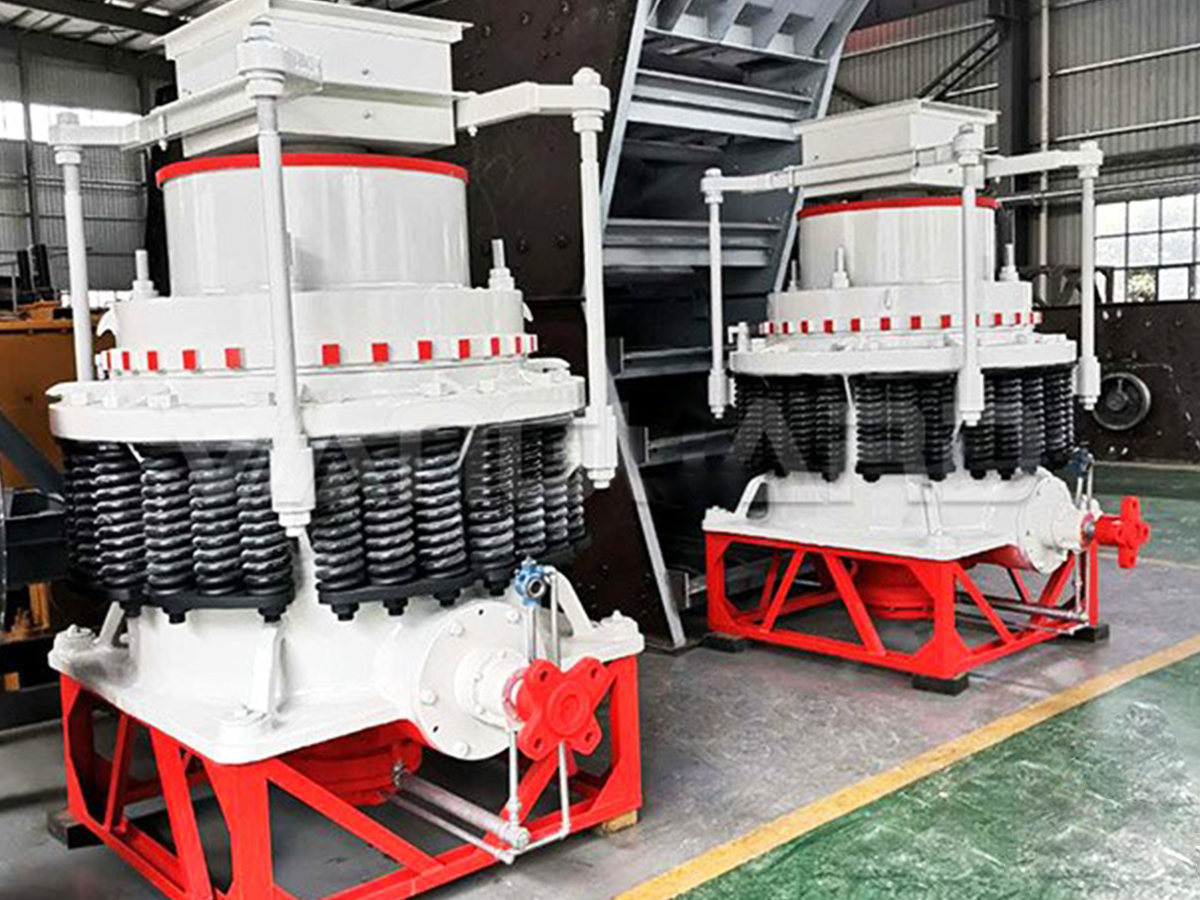 What does the molybdenum ore beneficiation process look out 